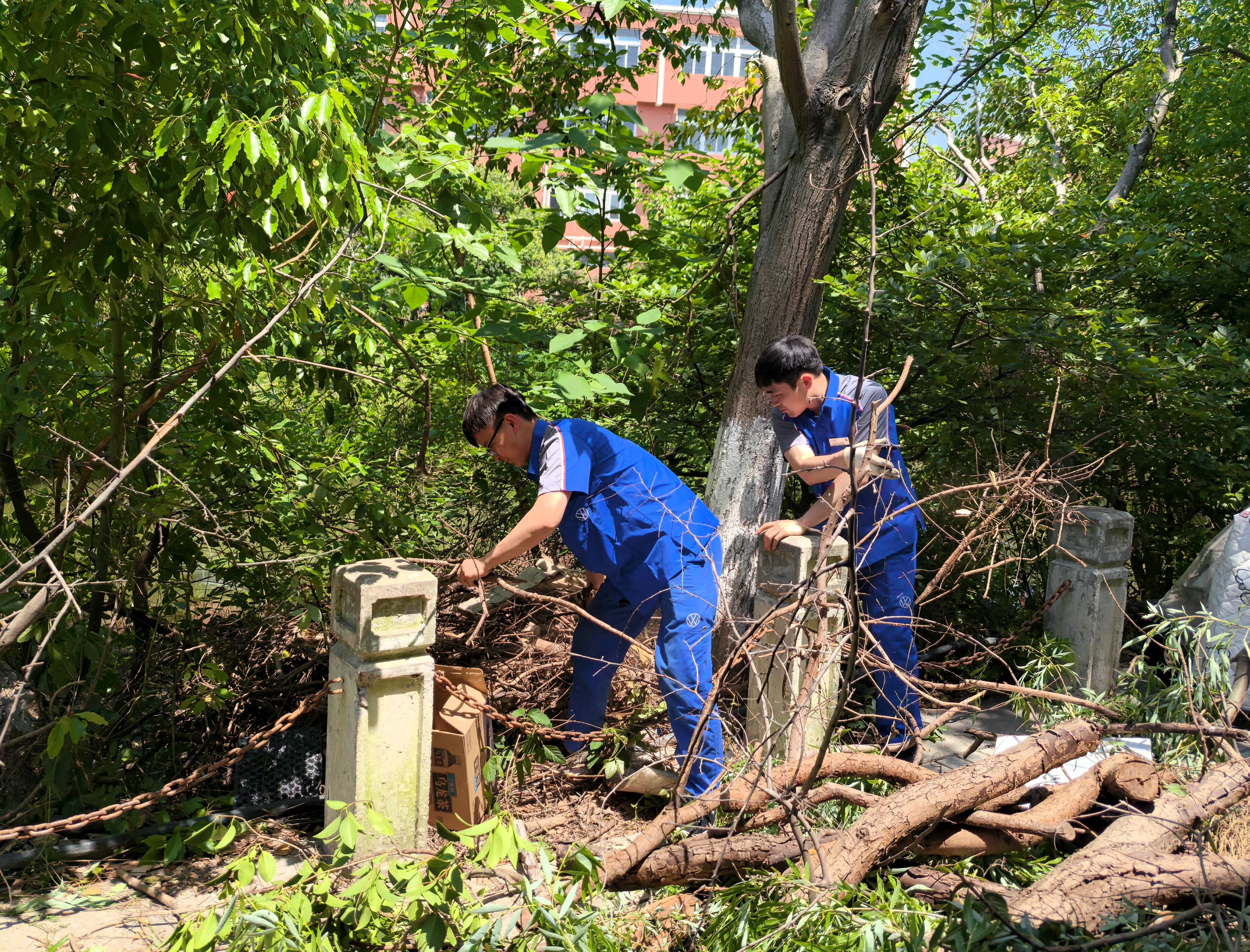 大眾志愿3 大眾志愿3